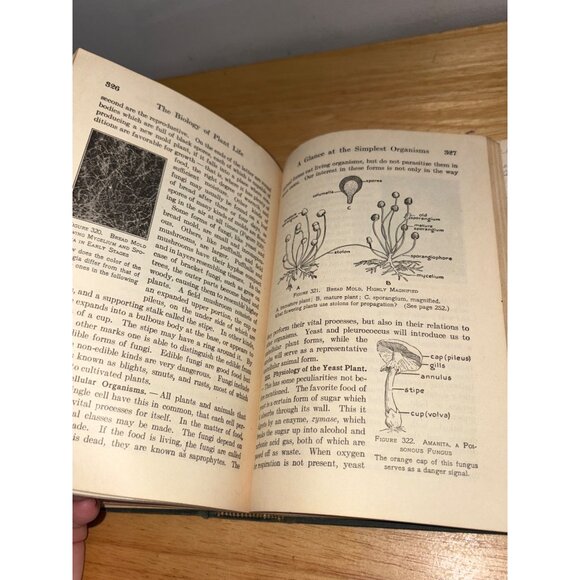 New Biology By Smallwood-Reveley-Bailey Hardcover 1948 Edition Science Book - Picture 16 of 16